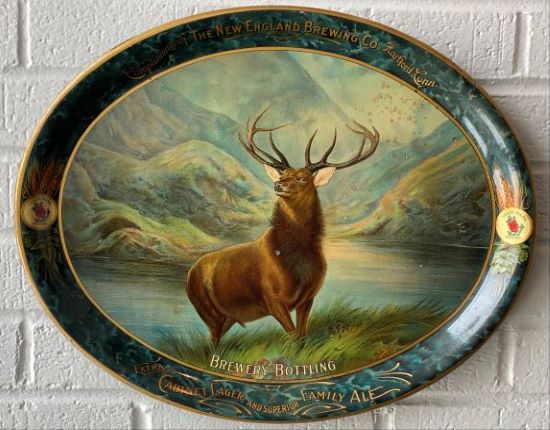 Stag in the meadow stock image